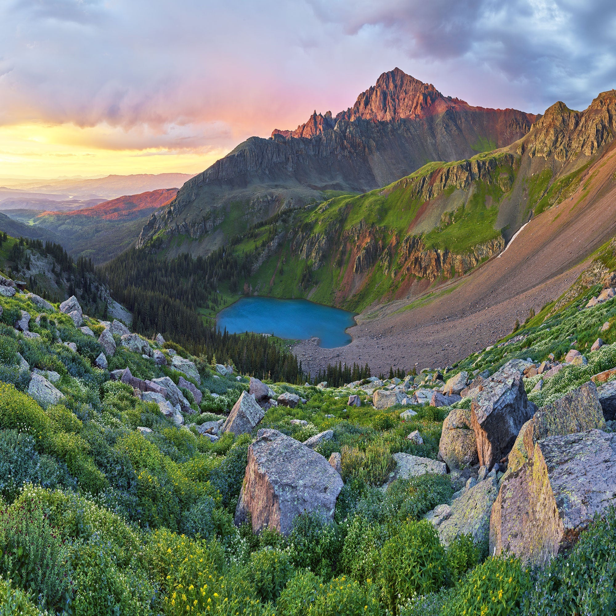 Colorado.jpg?v=1782158567