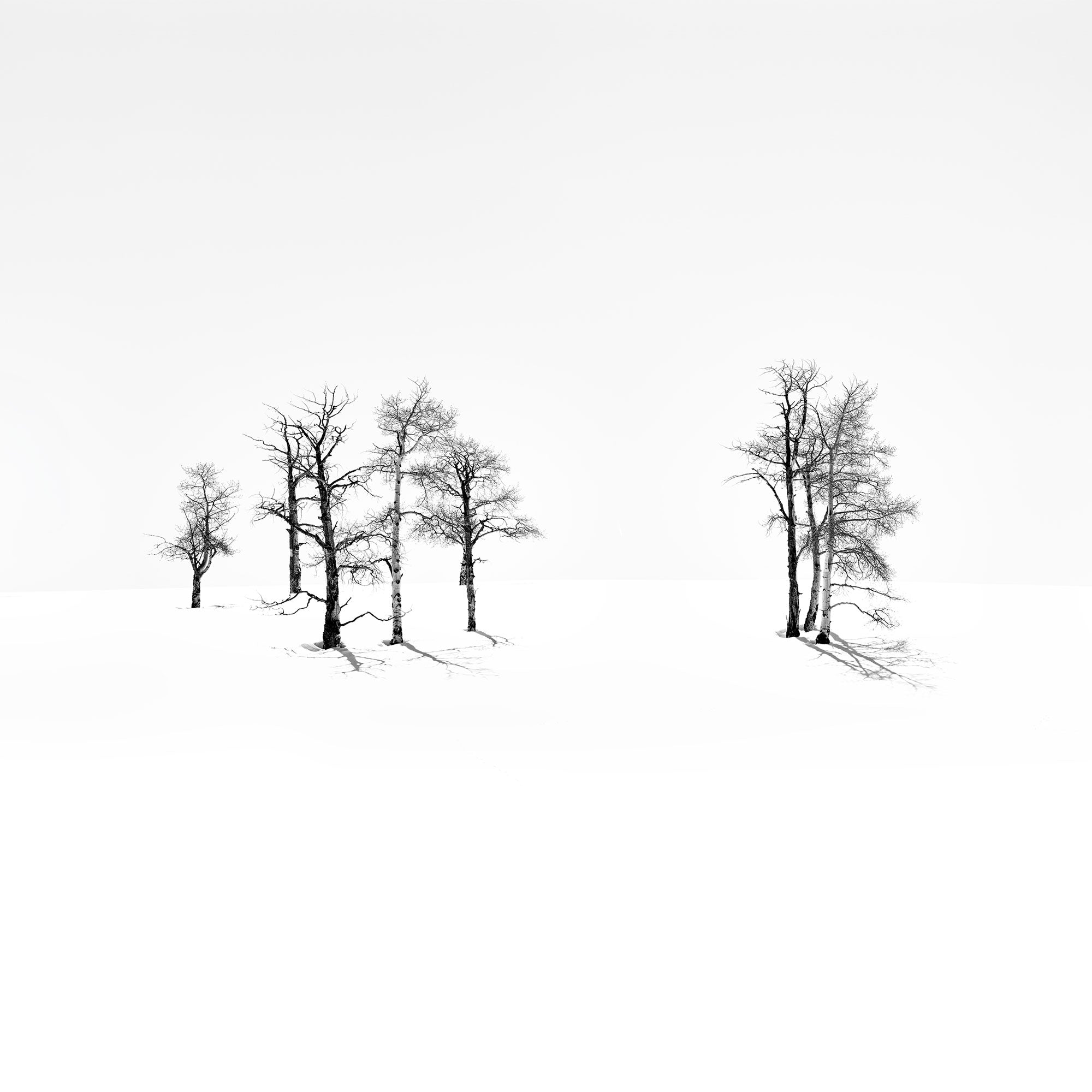 Winter Wall Art | Serene Winter Canvas Wall Art – Kane Dezign LLC