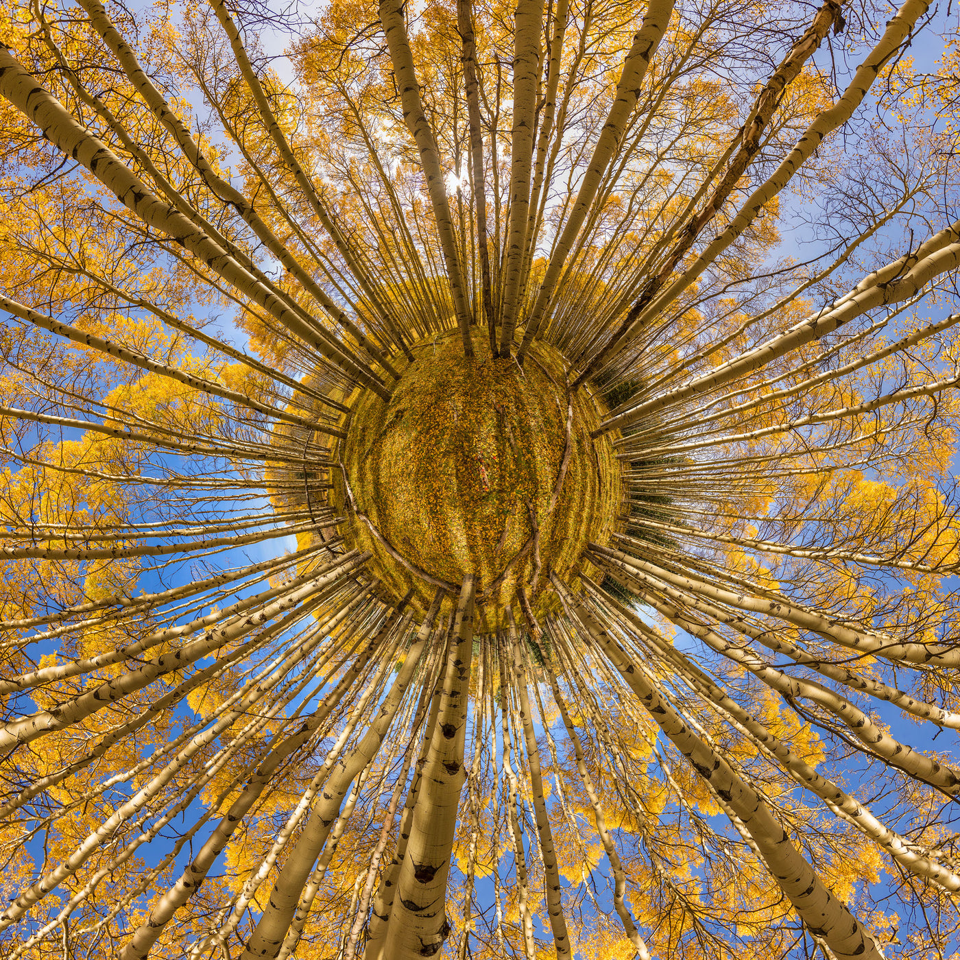 Fall