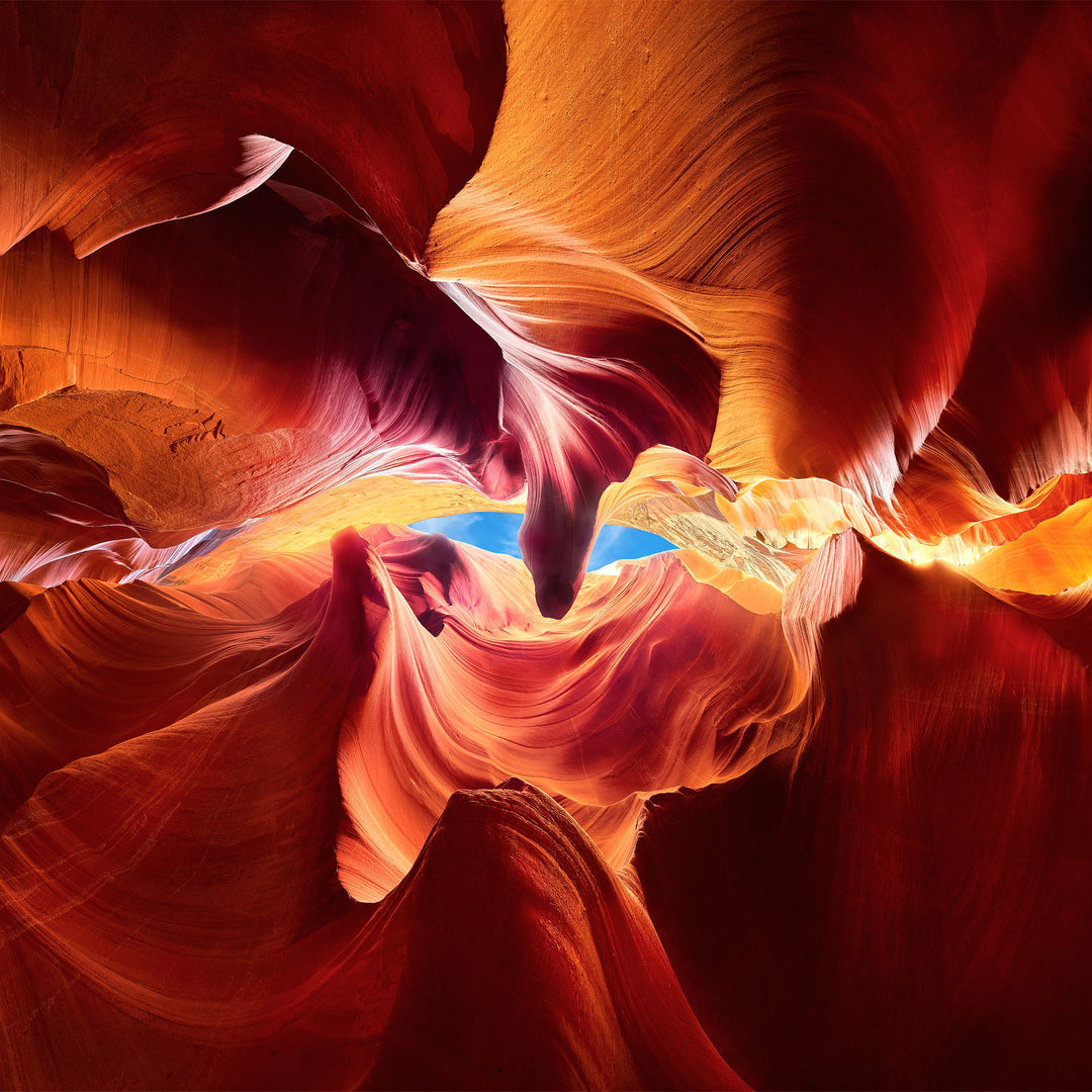 New Mountain & Forest Wall Art | Black & White Tree Art Prints