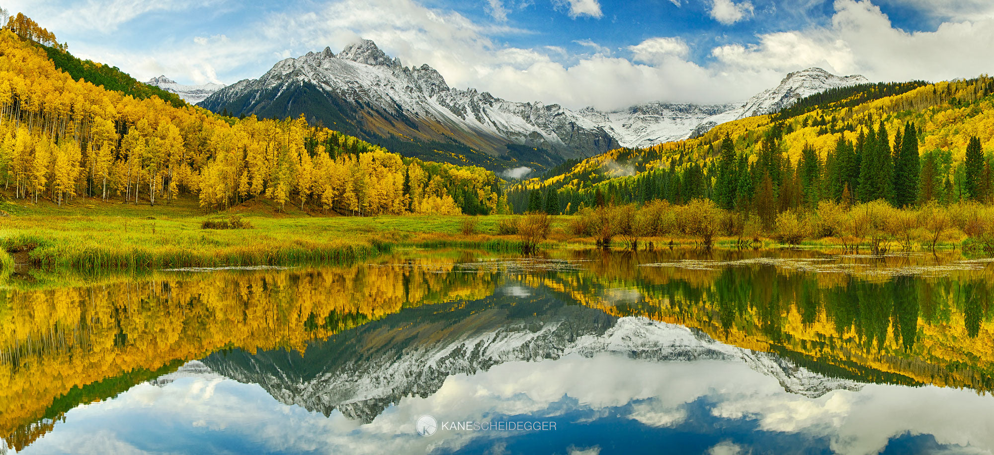Golden Reflections – Kane Dezign LLC